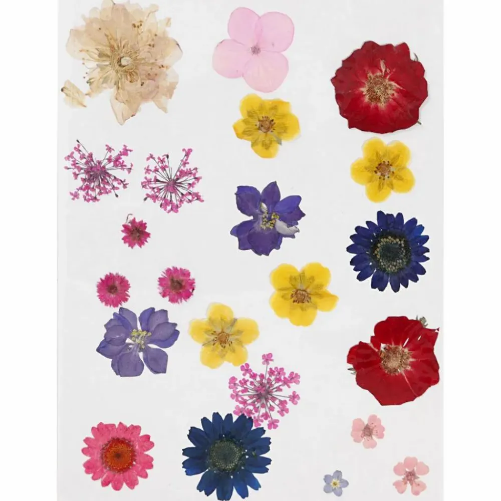 Best Creativ Company Pressede blomster - Blandede farver, 1 ark
