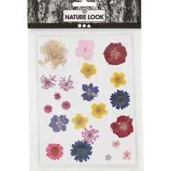 Best Creativ Company Pressede blomster - Blandede farver, 1 ark