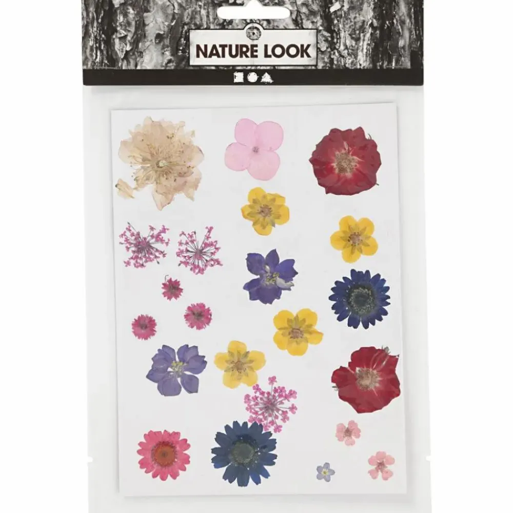 Best Creativ Company Pressede blomster - Blandede farver, 1 ark