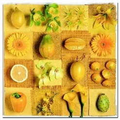Hot educa Puslespil m. 3 x 500 brikker - Frugt & blomster