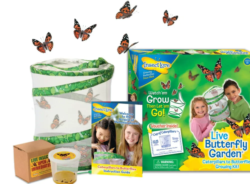 Sale InsectLore Sommerfuglehave m. 5 fritleverede larver