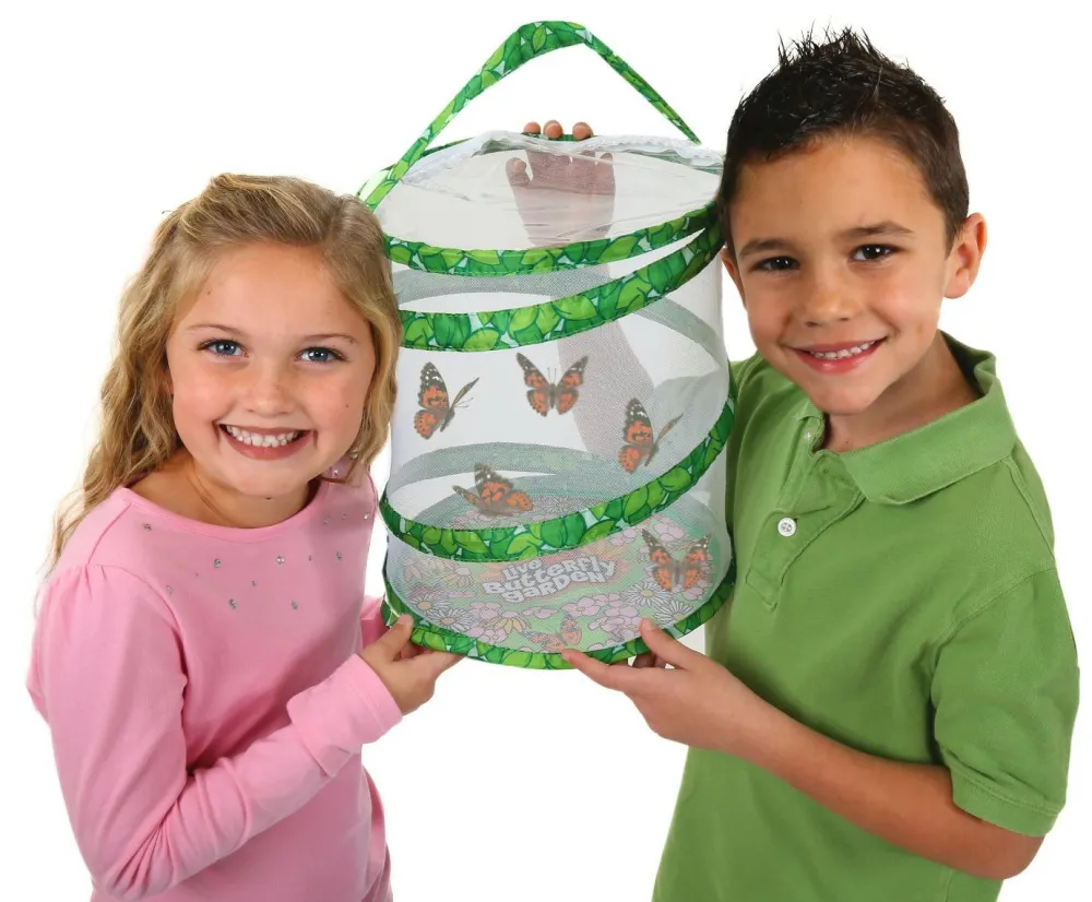 Sale InsectLore Sommerfuglehave m. 5 fritleverede larver