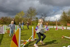 Discount Springbane til børn - Brun hest, 1 stk.