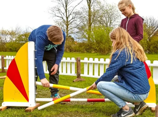 Discount Springbane til børn - Brun hest, 1 stk.