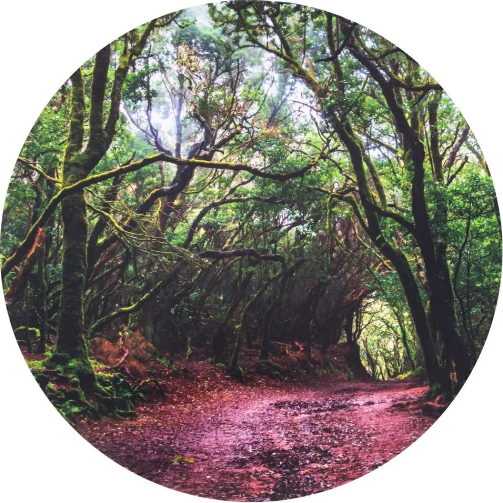 Online tickit® Sæt scenen Ø62,5 cm - I skoven