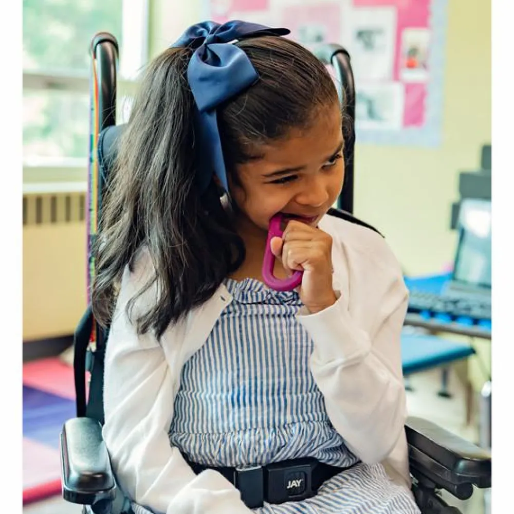 Best Tyggegreb, Turkis - Hård