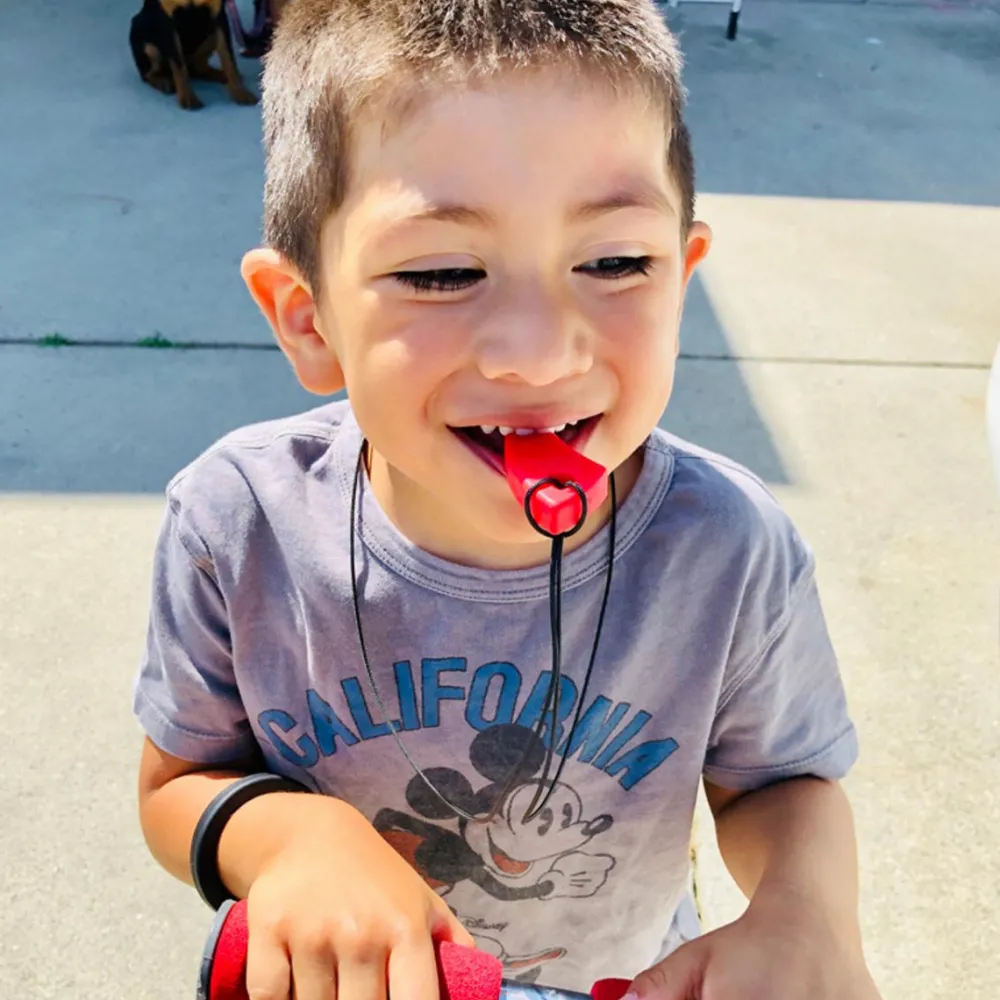 Tyggesmykke, Sabeltand - Standard