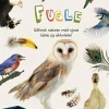 Ud i naturen - Fugle