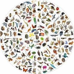 Outlet educa Vildkatten - Animals