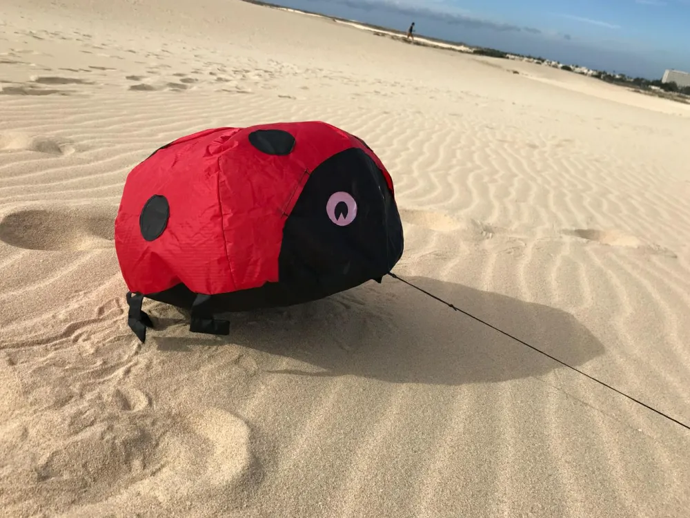 Online Vindmagi - Hoppende mariehøne (40 x 40 cm.)