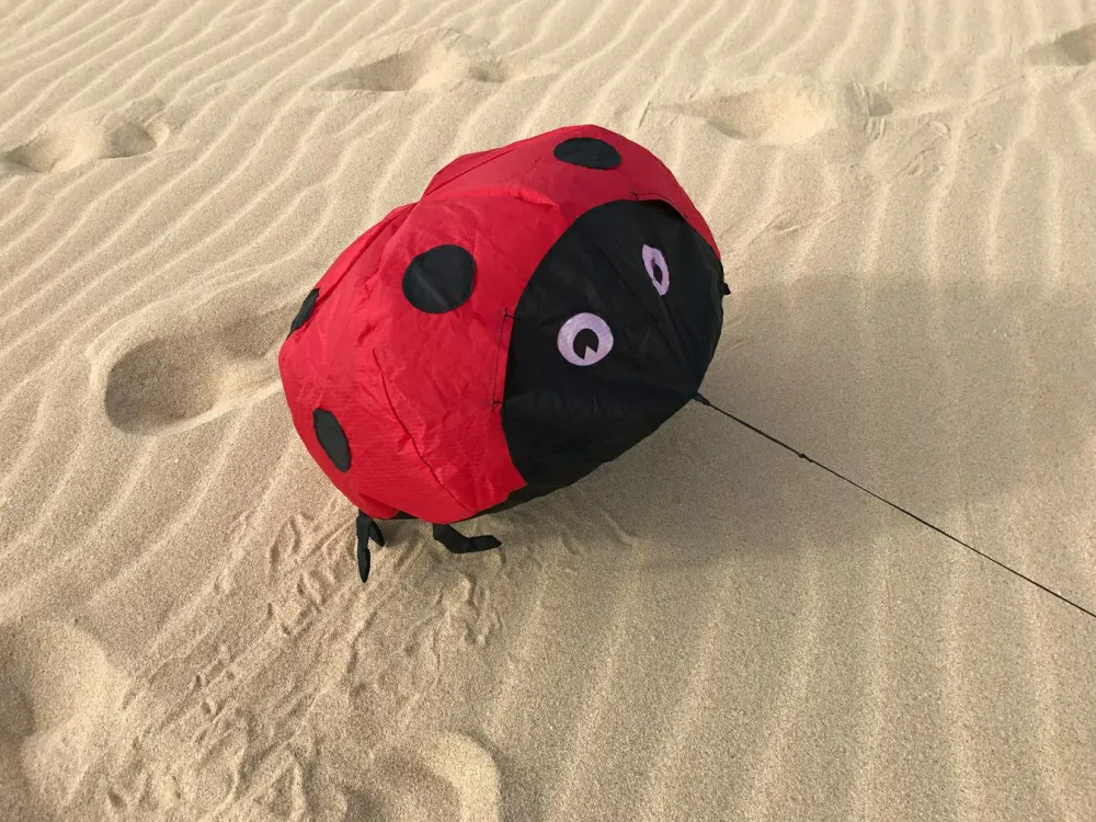 Online Vindmagi - Hoppende mariehøne (40 x 40 cm.)