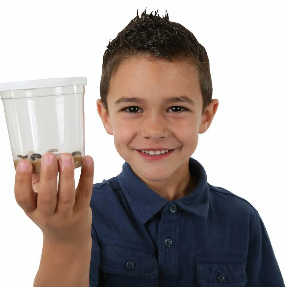 Discount InsectLore Voucher til refill - Sommerfuglelarver, 5 stk.